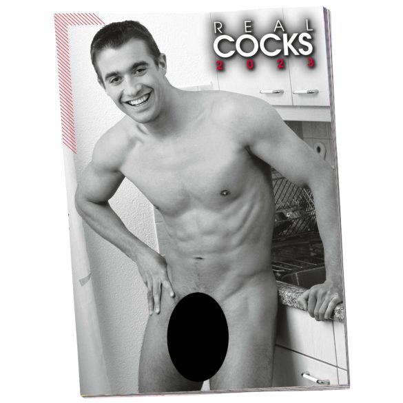Nacktkalender Männer - 2026 (10er Set)
