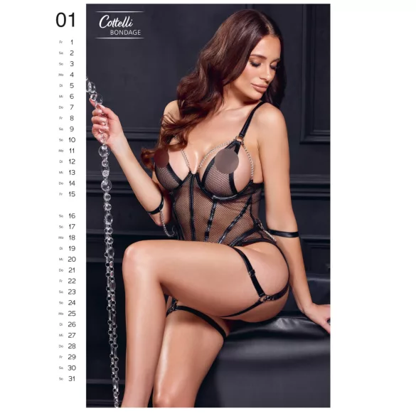 Exclusive Girls 2027 - erotischer Wandkalender (1 Stk.)