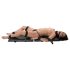 You2Toys - Tragbares Bondage Brett (13-teiliges Set)