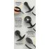 You2Toys - aufblasbarer Analplug mit Kugeln (schwarz)