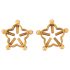 Bad Kitty - Drehende Brustwarzen-Schmuck (Blume) - Gold