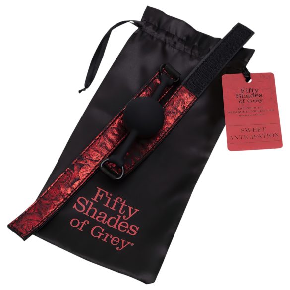 Fifty Shades of Grey - schwarzes/rotes Mundknebel