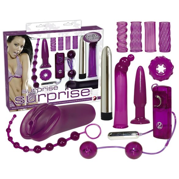 You2Toys - Erotische Überraschungen - Vibrator Set (12 Teile)
