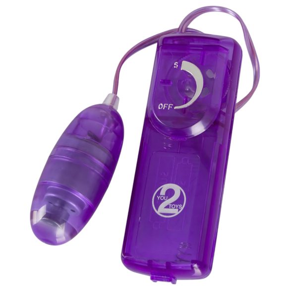 You2Toys - Purple Appetizer - Vibro-Set (9-teilig)