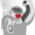 You2Toys - Prostatavibrator mit Rotation (schwarz)