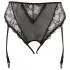 Cottelli Plus Size - Spitzenstrumpfhalter-String (schwarz)