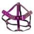 Bad Kitty - Strass-Kopfgeschirr (Rosa)