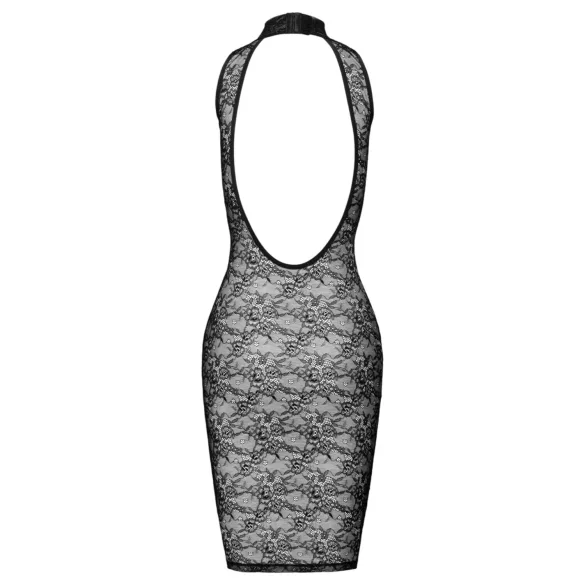 Cottelli - knielanges Spitzenkleid (schwarz)