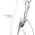 Love to Love Wonderlover - G-Punkt Vibrator, lila