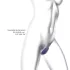 Love to Love Wonderlover - G-Punkt-Vibrator, klitorale Stimulation (dunkellila)