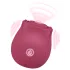EIS Blush&Bloom - Saug- und Vibrationsvibrator (rot)