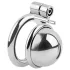 Fetish Collection - Mini-Penis-Käfig mit 3 austauschbaren Hodenklemmen (Silber)