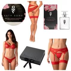 Obsessive Aloisa - Dessous-Geschenkbox - 6-teilig (Rot)