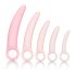 CalExotics Inspire - Gesundheits-Vaginaldilatationsset (pink)