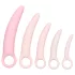 CalExotics Inspire - Vaginaldilatator-Set für Wohlbefinden (Pink)