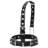 Latetobed - Halsband mit Nasenhaken (schwarz)