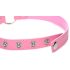Master Series Kinky Kitty - Halsband mit Katzenkopf-Ring (rosa)