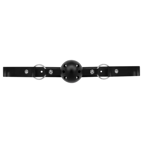 Secret Pleasure Chest - Fortgeschrittenes 14-teiliges BDSM-Set (schwarz)