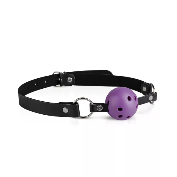 Secret Pleasure Chest - Fortgeschrittenes BDSM-Set (14-teilig)