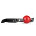 Secret Pleasure Kiste - Fortgeschrittenes BDSM Set - 10-teilig (Rot)