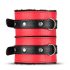 Secret Pleasure Kiste - Fortgeschrittenes BDSM Set - 10-teilig (Rot)