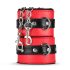 Secret Pleasure Kiste - Fortgeschrittenes BDSM Set - 10-teilig (Rot)