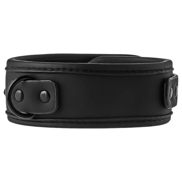 Blaze - Halsband und Leine (schwarz)