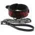 Dreamtoys Blaze - Halsband- und Leinen-Set (rot)