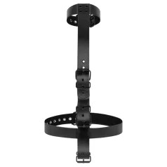 Bedroom Fantasies - BDSM Halsband & Fesseln (schwarz)