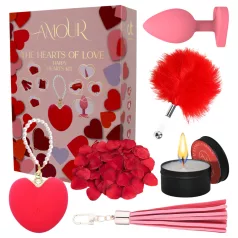 Dreamtoys Amour - Herzvibrator Geschenkset (rot)