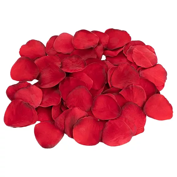 Dreamtoys Amour - tragbares Höschen-Vibrator-Set (rot)