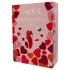 Dreamtoys Amour - tragbares Höschen-Vibrator-Set (rot)