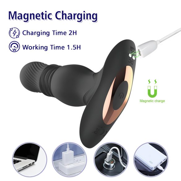 Aixiasia Roy - Akku-Radio-Analdildo (Schwarz)