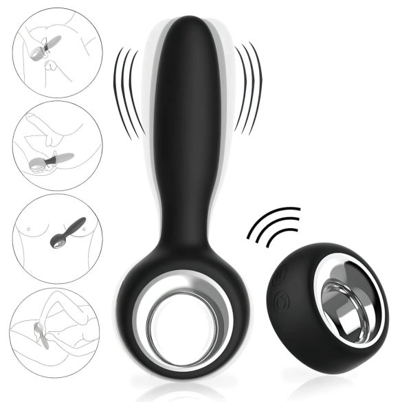Aixiasia Dylon-Remote - Akku-Radio Analdildo (Schwarz)