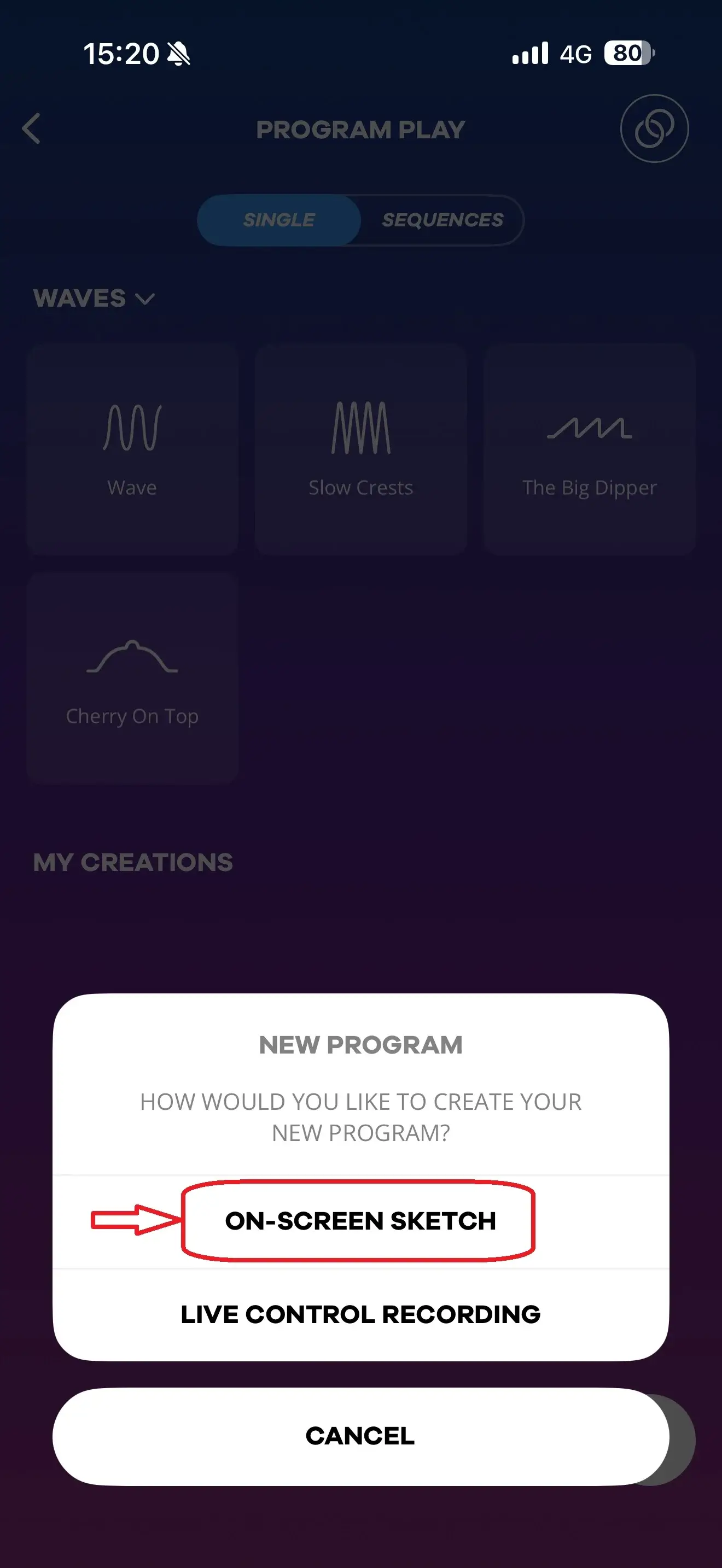 Satisfyer Connect App: Schritt-für-Schritt-Anleitung Schritt 7 | Desirel Sex Shop